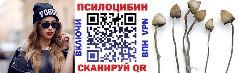 цены наркотик  Нытва  Псилоцибиновые грибы Magic Shrooms 
