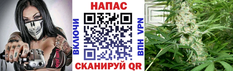 Шишки марихуана THC 21% OMG маркетплейс Нытва